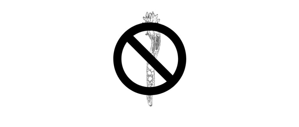 Kill Demodex Mites Naturally